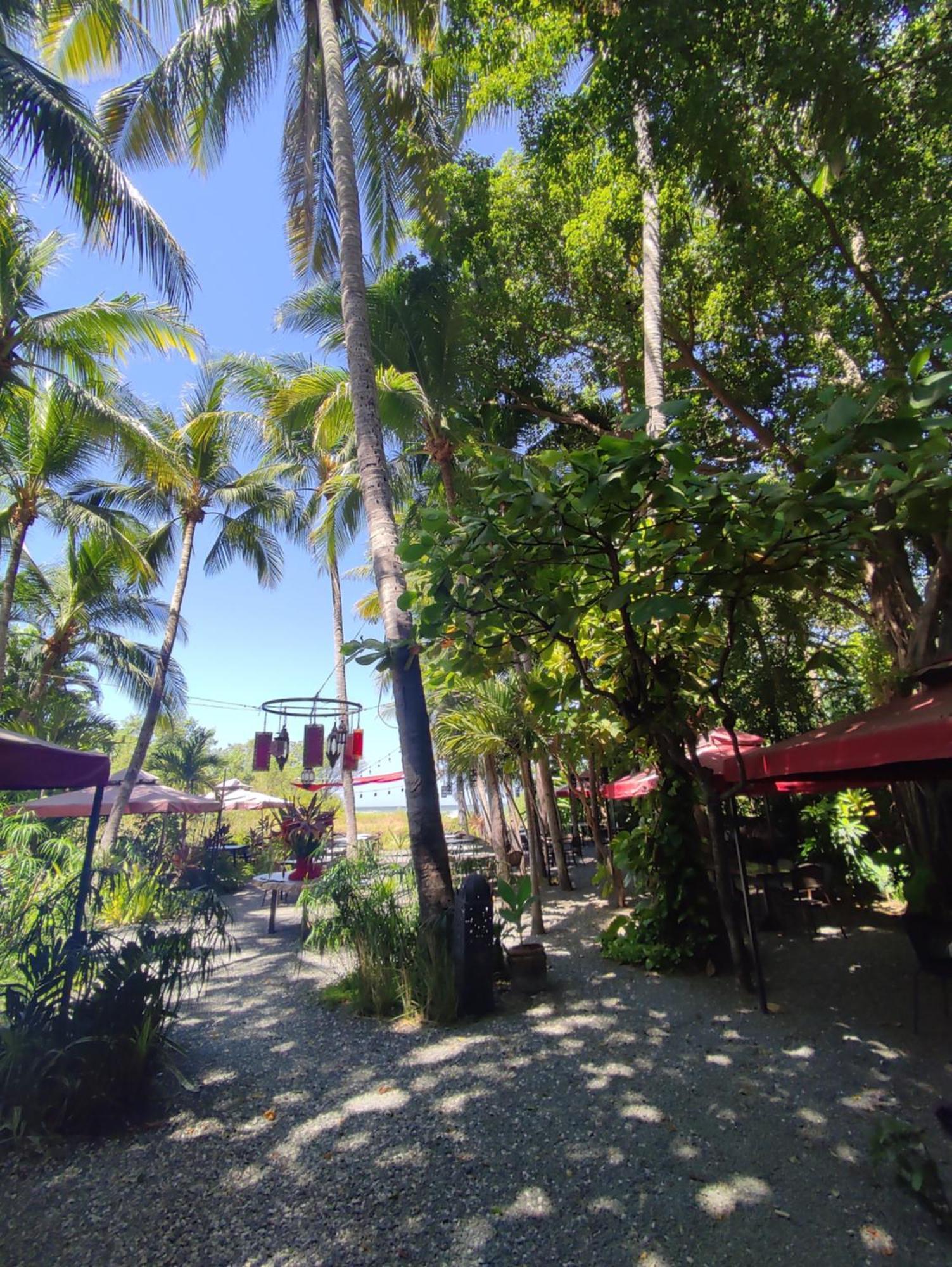 Hotel Laguna Del Cocodrilo Tamarindo Exterior photo