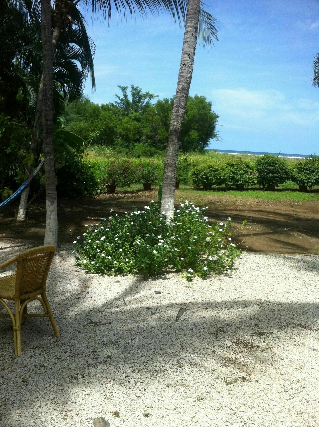 Hotel Laguna Del Cocodrilo Tamarindo Exterior photo